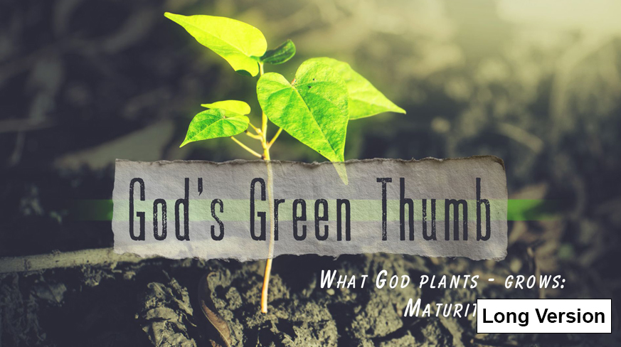 God’s Green Thumb What God Plants – Grows: Maturity