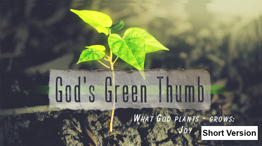 God’s Green Thumb What God Plants – Grows: Joy (Part 2)