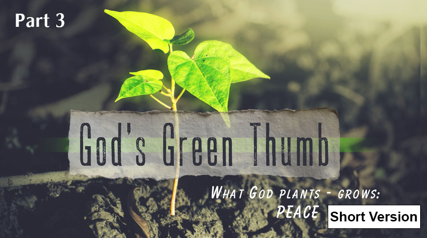 God’s Green Thumb What God Plants – Grows: Peace (Part 3)
